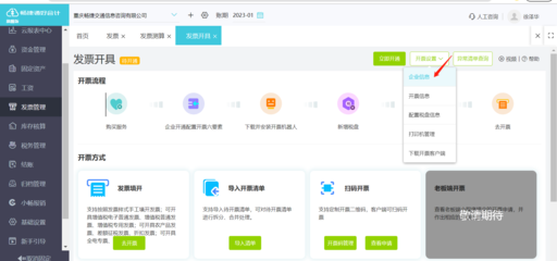 電子發票錄入軟件 應用軟件服務解析